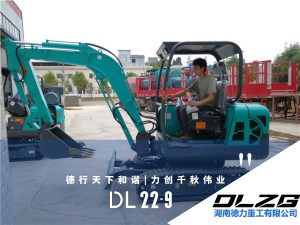 DL22-9先導(dǎo)型小型挖掘機